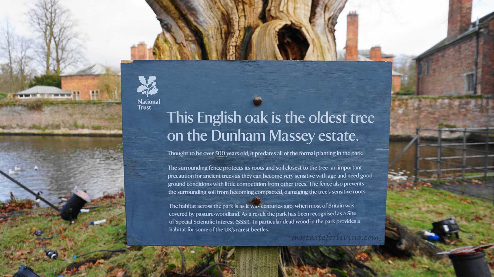 Duhnam Massey  is located in the north-west of England, near the city of Manchester, and is owned by the National Trust. 