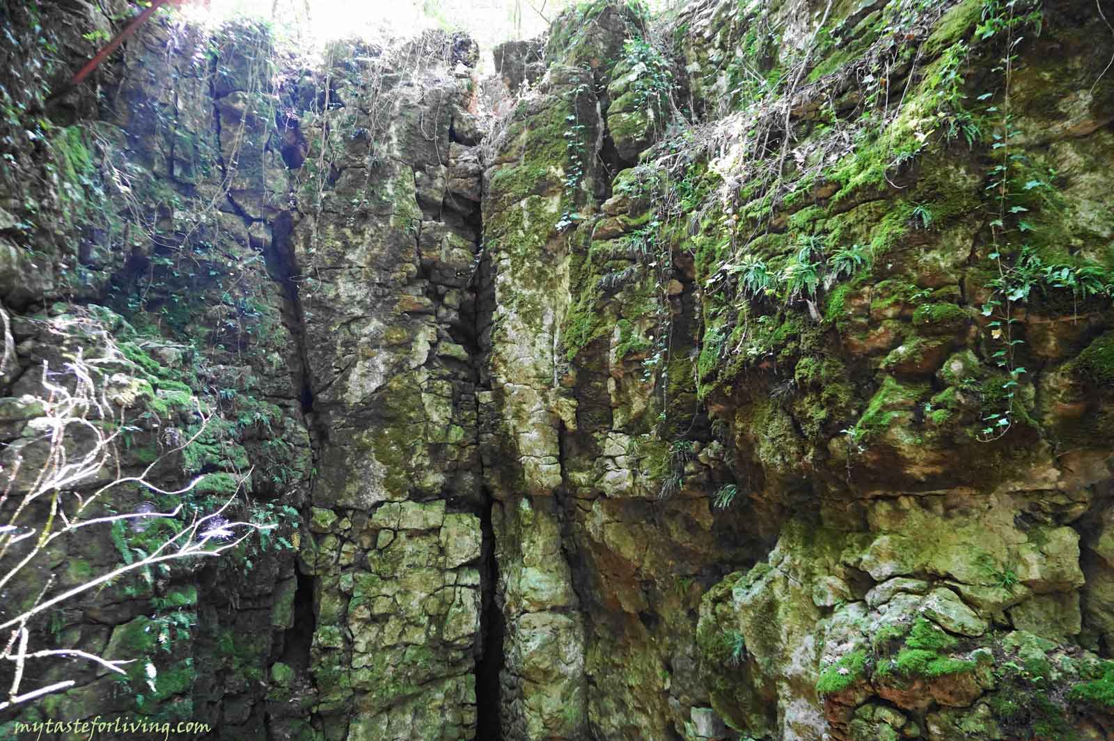 Геокомплекс Понорите (известно е още под името Пропастите) се намира на около 400 метра от село Мусина, област Велико Търново. Представлява две пропасти, с дълбочина 25 метра, свързани под земята чрез карстова галерия, като се предполага, че галериите водят до Мусинската и Еменската пещери. 