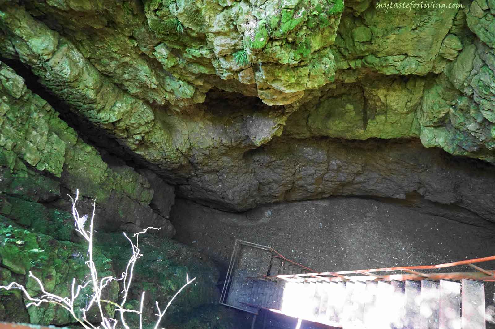 Геокомплекс Понорите (известно е още под името Пропастите) се намира на около 400 метра от село Мусина, област Велико Търново. Представлява две пропасти, с дълбочина 25 метра, свързани под земята чрез карстова галерия, като се предполага, че галериите водят до Мусинската и Еменската пещери. 
