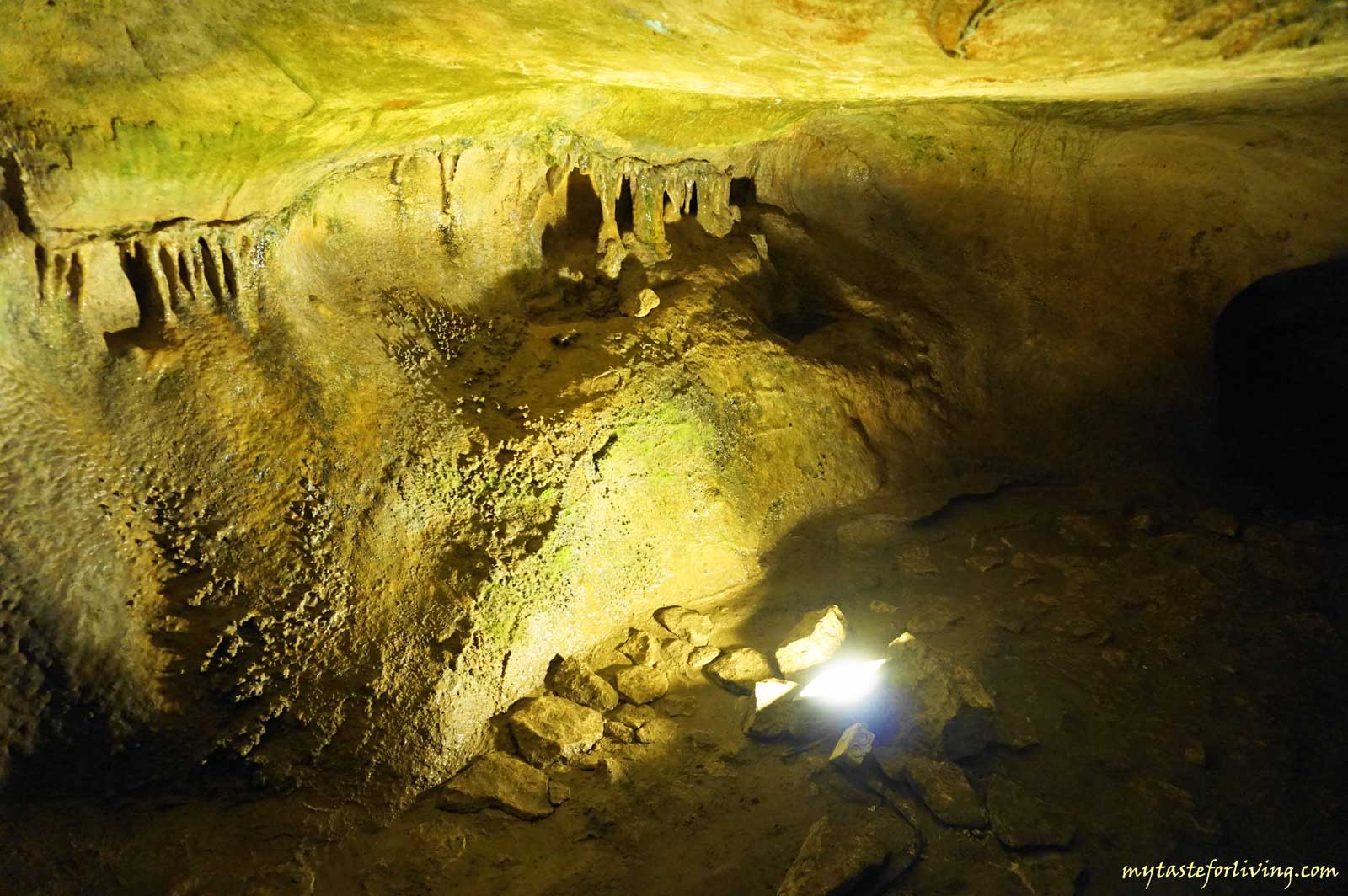 Orlova chuka cave is located about 40 km from Ruse, Bulgaria, in the Rusenski Lom nature park, near the village of Pepelina, on the left slope of the Cherni Lom river. Declared a natural landmark and archeological cultural monument of national importance, today it is the second largest cave in Bulgaria.