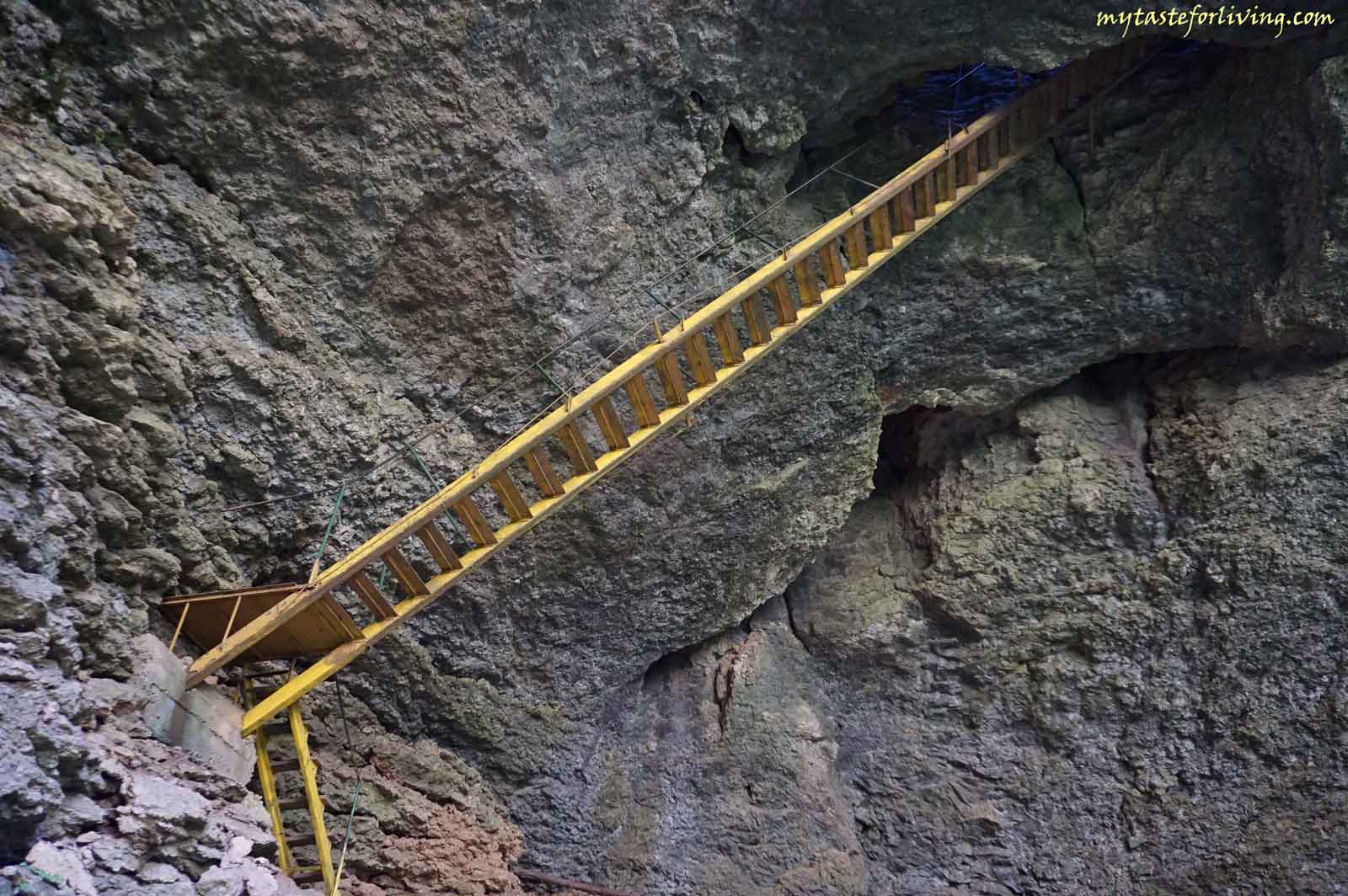 Пещера Голяма Гарваница се намира между селата Горско Сливово и Кърпачево, област Ловеч, община Летница. Представлява вертикална пещера с дълбочина над 60 метра и дължина 275 метра. 