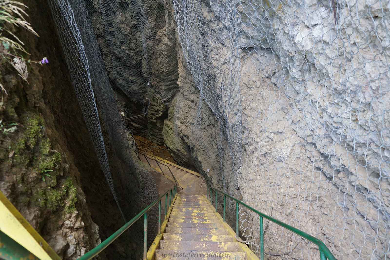 Big Garvanitsa cave is located between the villages of Gorsko Slivovo and Karpachevo, Lovech district, Bulgaria. It is a vertical cave with a depth of over 60 meters and a length of 275 meters.