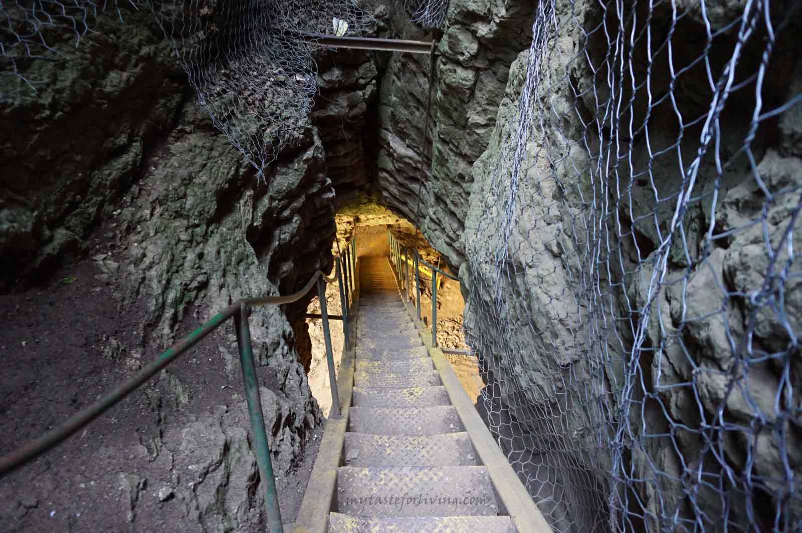 Пещера Голяма Гарваница се намира между селата Горско Сливово и Кърпачево, област Ловеч, община Летница. Представлява вертикална пещера с дълбочина над 60 метра и дължина 275 метра. 