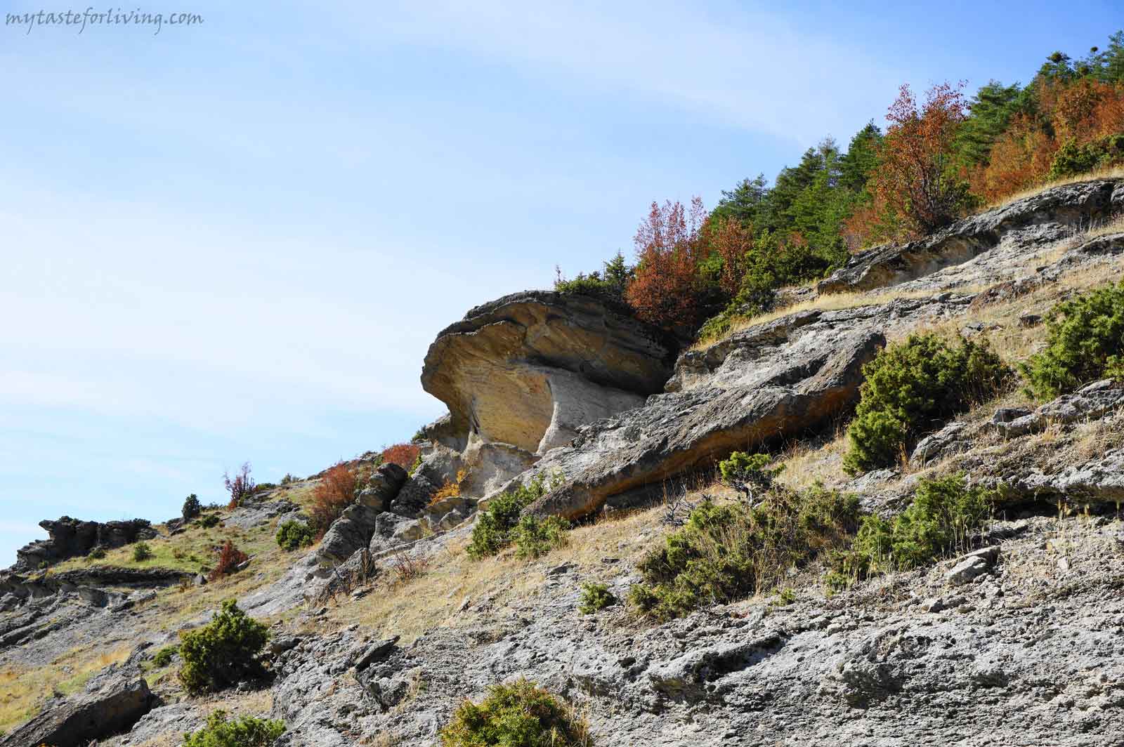 A magical place with an amazing view that will charge you with a lot of positive energy. Among the rock forms you can recognize stone mushrooms, figures of animals, faces and the characteristic for the Eastern Rhodopes trapezoidal rock niches, whose purpose remains a mystery.