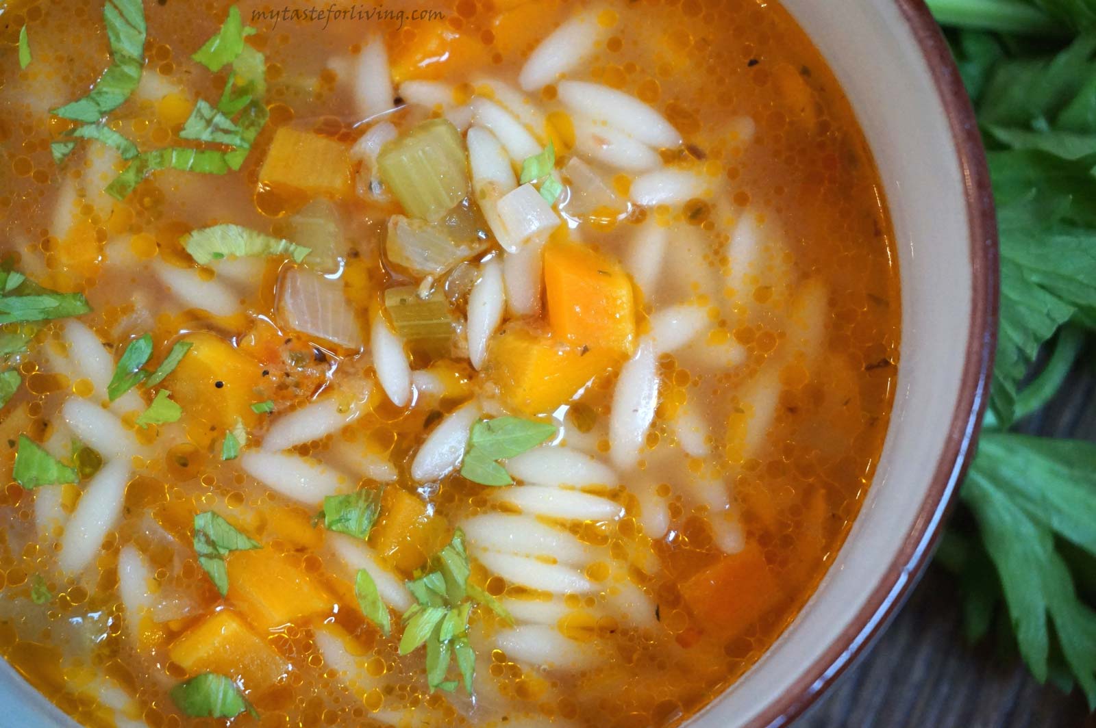 Тази ароматна зеленчукова супа с орзо е вкусно и лесно предложение, с което да разнообразите стандартното си меню. Приготвя се с орзо, лук, моркови, целина, чесън и домати. 
