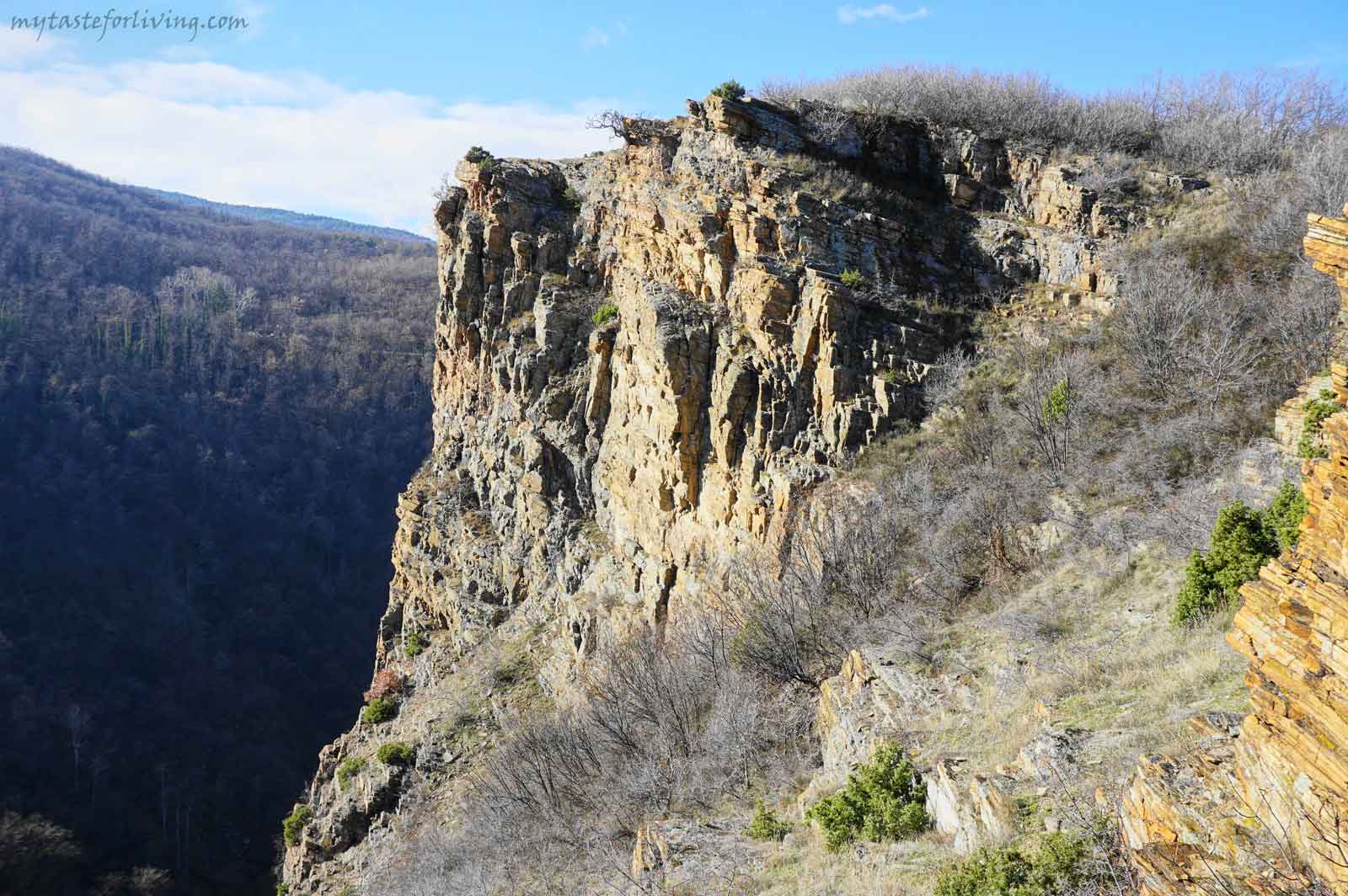 Момина скала е естествен природен феномен в Родопите, със спиращи дъха отвесни и високи скали. Мястото е много подходящо за еднодневна разходка сред природата и е само на около 20 километра от град Пловдив. Пътеката за живописния каньон се намира на около час път ходене от центъра на село Извор. 