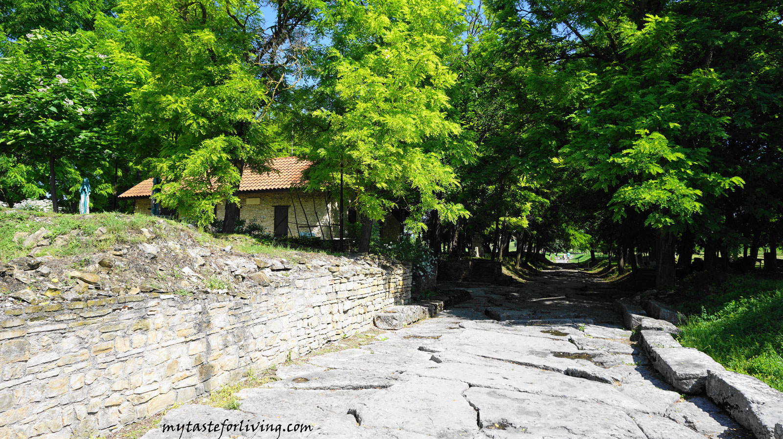 The remains of the early Byzantine town of Nicopolis ad Istrum (translated "City of Victory on the Danube") are located about 20 km north of the town of Veliko Tarnovo, Bulgaria, on the road to Ruse.