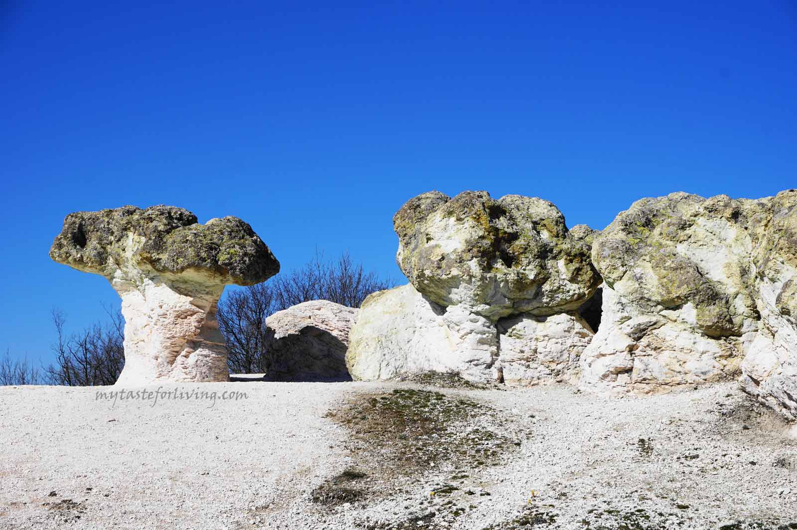 The natural phenomenon Stone Mushrooms is a landmark that is worth visiting if you pass near the village of Beli Plast (which is located next to the road Haskovo-Kardzhali). They are also known as Rock Mushrooms, and the locals call them Mantarkaya.