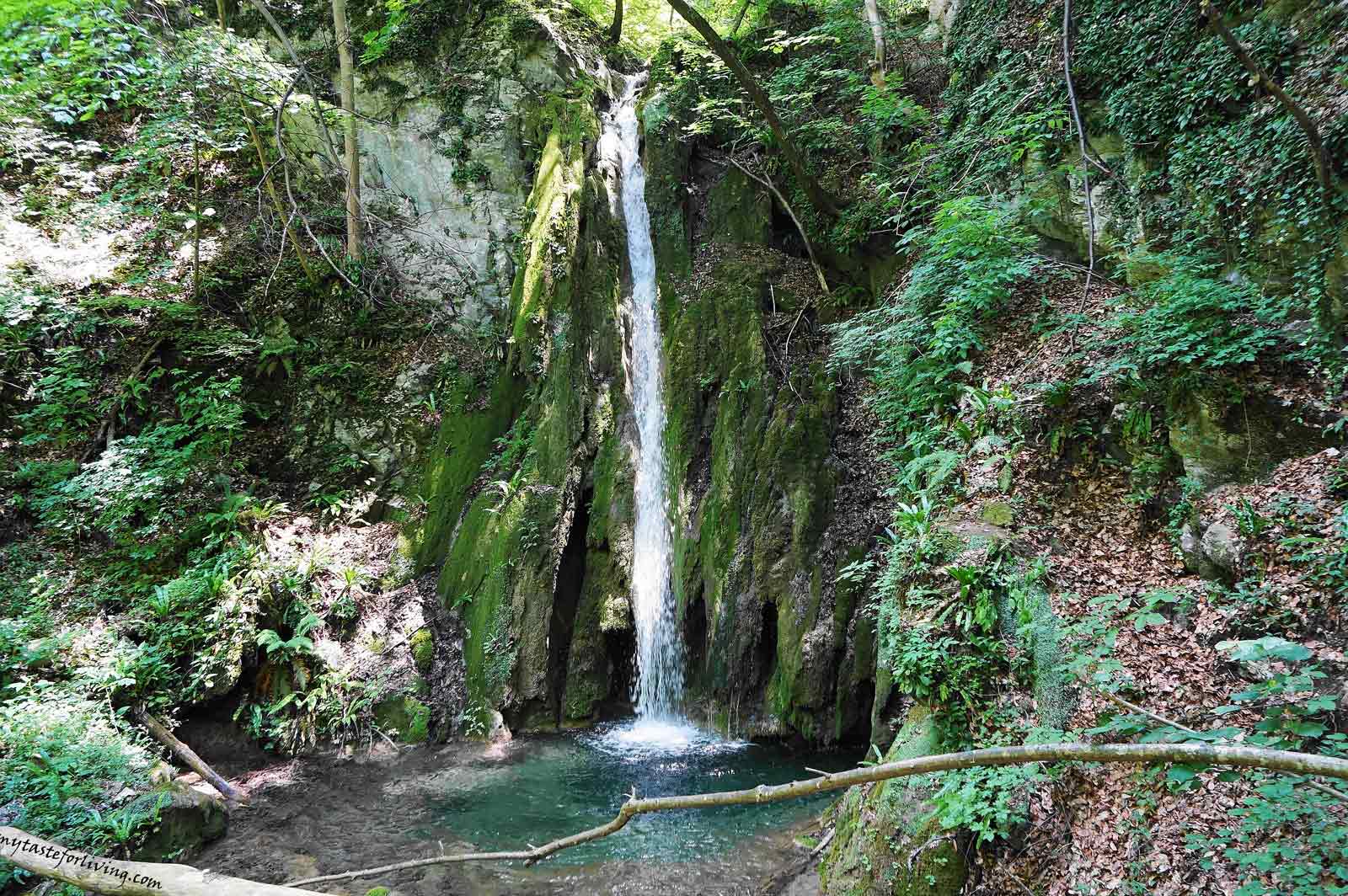 Водопад Сливодолското падало е изключително живописен, а със своите около 50 метра височина е най-високият водопад в Родопите. Намира се на около 30 км от град Пловдив и 15 км от град Асеновград, по течението на река Сливов дол и на територията на резерват „Червената стена“.