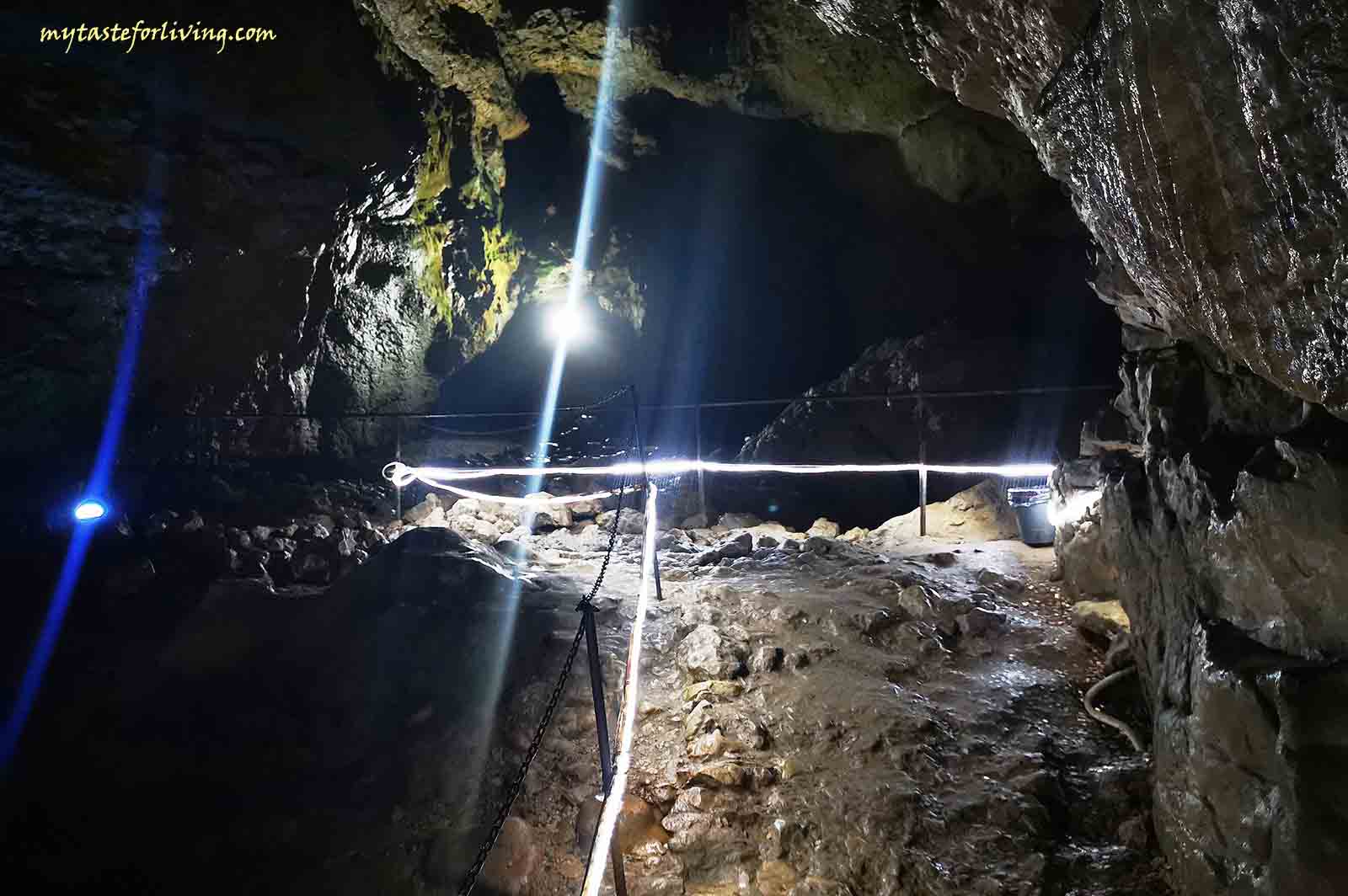 Пещерата Бачо Киро се намира на около 5 км от град Дряново, в близост до Дряновския манастир, в каньоните на Дряновската река и река Андъка. Намира се в прекрасен район, където има какво още да се разгледа и да се разходите. Освен Дряновския манастир, има заведения, както и няколко водопада по пътя.
