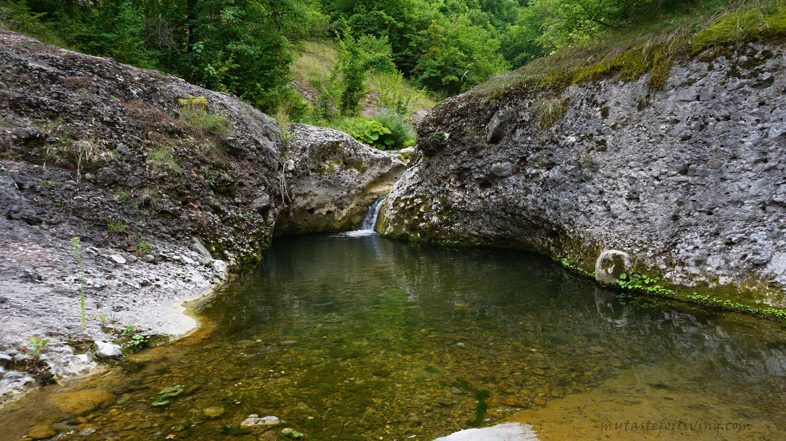 Swallows Waterfall is located near the village of Doloslav, Asenovgrad municipality, Bulgaria. According to local people, his name comes from hard-to-reach terrain, which is why only swallows could get to him.