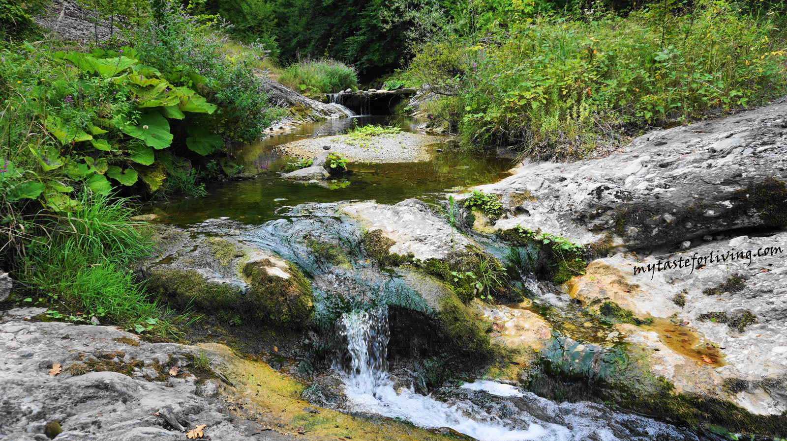 Водопад “Лястовичи вир” се намира в близост до село Долнослав, община Асеновград. Според местните хора името му идва от труднодостъпния терен, заради който само лястовиците са можели да стигнат до него. 