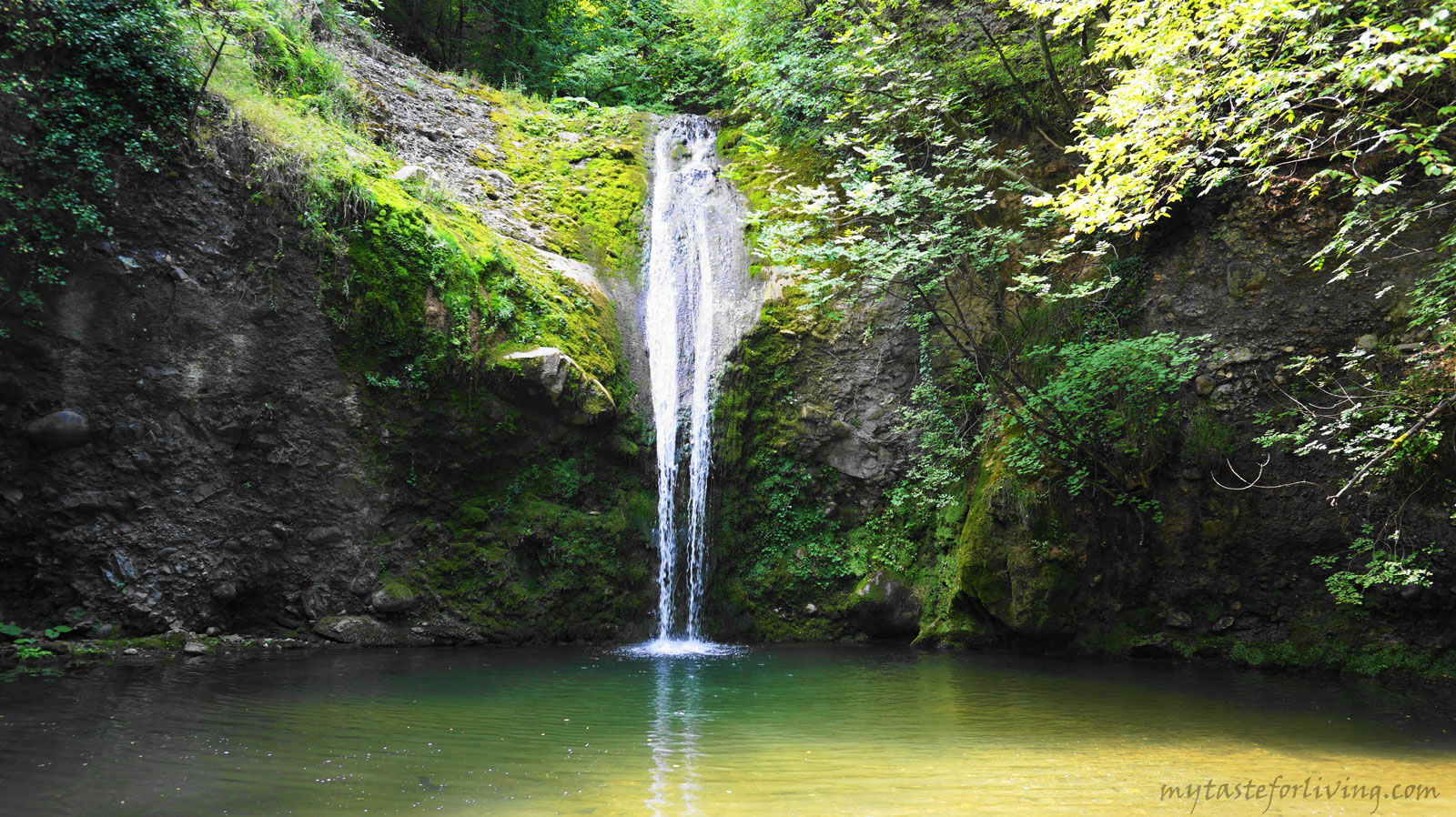 Водопад “Лястовичи вир” се намира в близост до село Долнослав, община Асеновград. Според местните хора името му идва от труднодостъпния терен, заради който само лястовиците са можели да стигнат до него. 