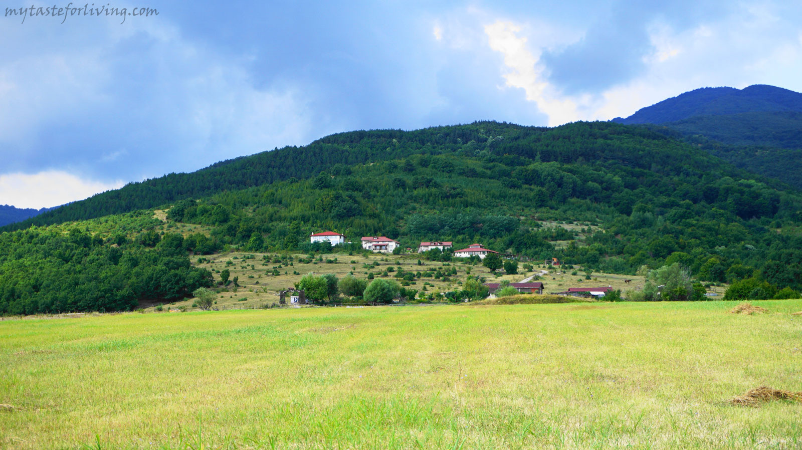 Ранчо „Дивият град“ (Ranch "Wild City") е поредното кътче в България, направено с любов и желание, така че с удоволствие да си там и да искаш да го посетиш отново. 