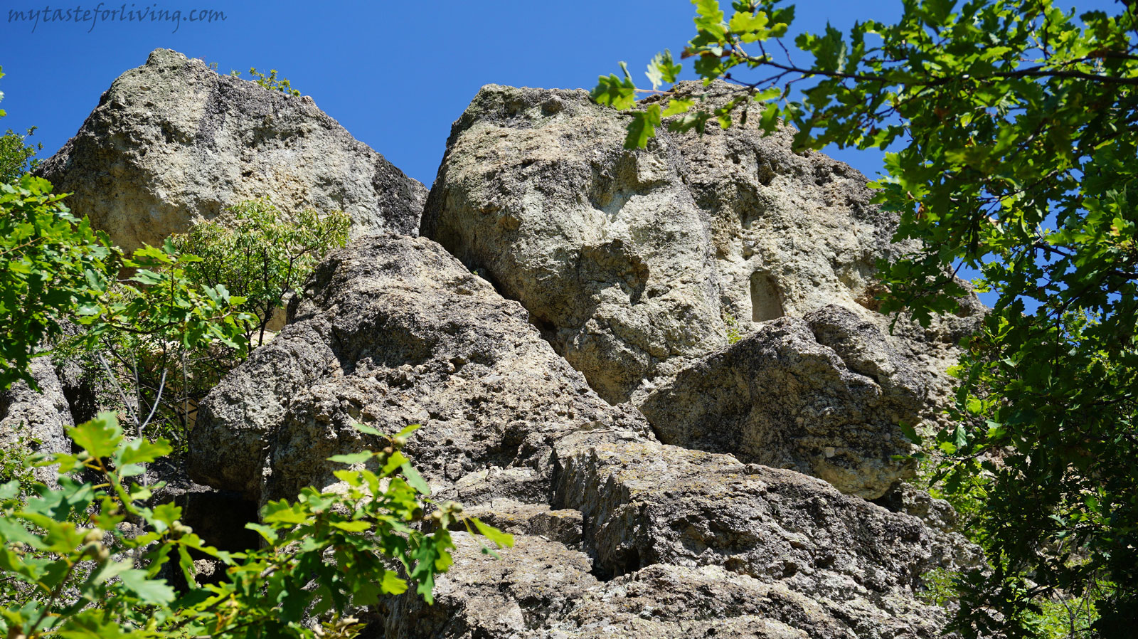 Пармак кая е тракийско скално светилище, намиращо се по пътя Пловдив – Кърджали, до село Ночево, обл. Кърджали. Наименованието й идва от неголям скален къс, който стърчи от нея и наподобява пръст. 