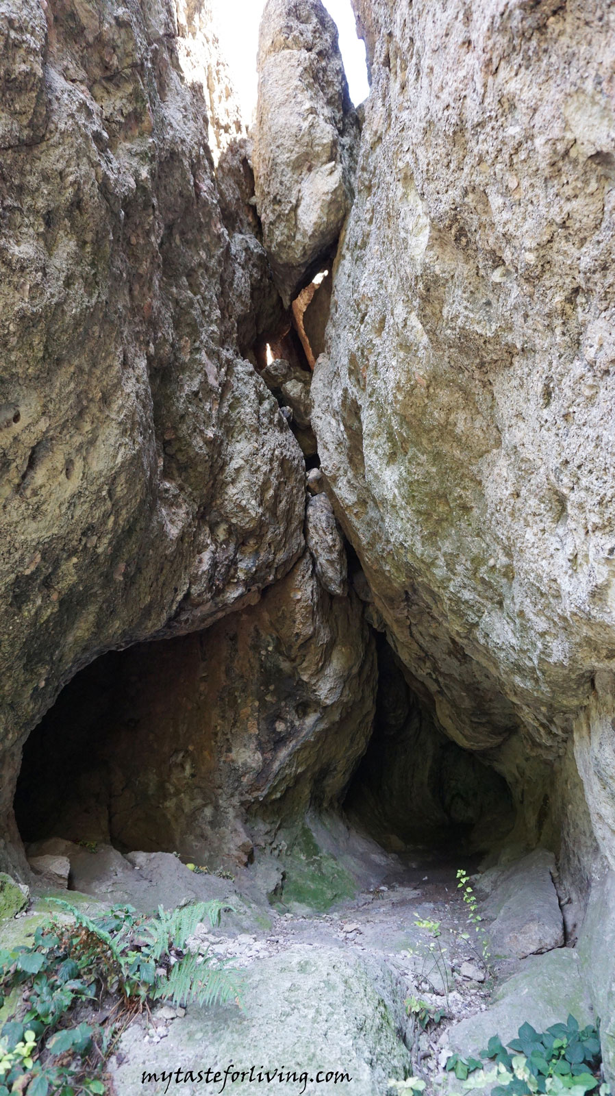 Пармак кая е тракийско скално светилище, намиращо се по пътя Пловдив – Кърджали, до село Ночево, обл. Кърджали. Наименованието й идва от неголям скален къс, който стърчи от нея и наподобява пръст. 