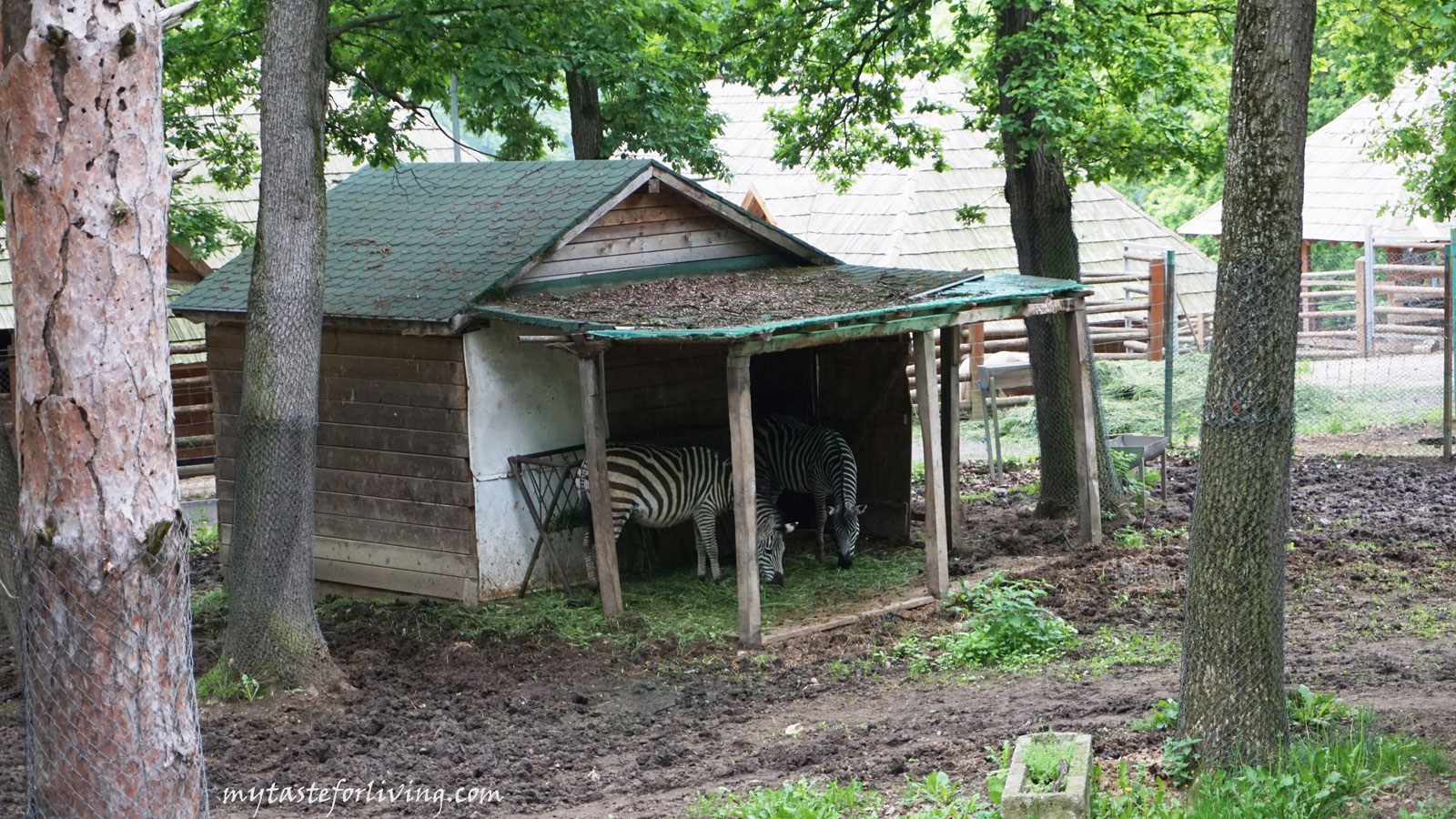 Зоологическата градина в Сибиу е най-старият зоопарк в Румъния. Той е сред най-добрите там и е много популярен сред местните жители. 