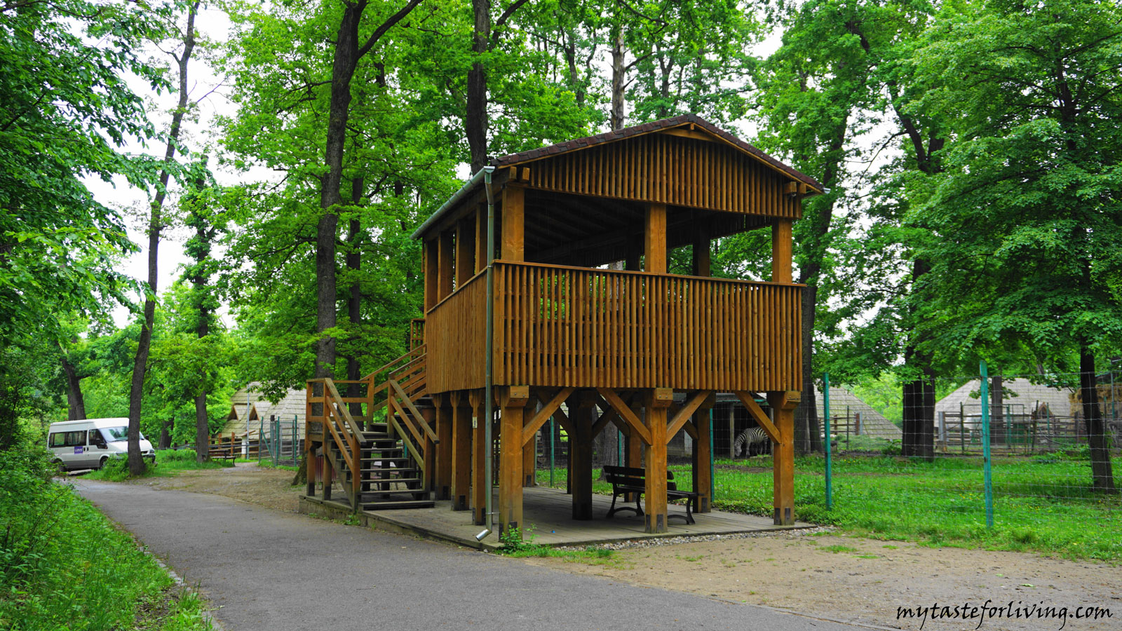 The zoo in Sibiu is the oldest zoo in Romania. It is among the best there and is very popular with the locals. It is located in a beautiful forest setting, around a large lake near Dumbrava Sibiului Natural Park. 