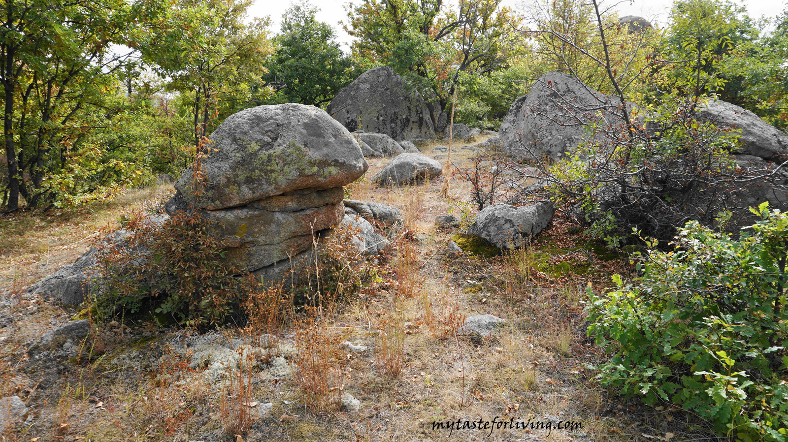 "Skumsale" locality is located 7 km from the town of Strelcha, towards the town of Koprivshtitsa, Bulgaria. It is characterized by a multitude of diverse rock formations used by ancient societies for rituals.