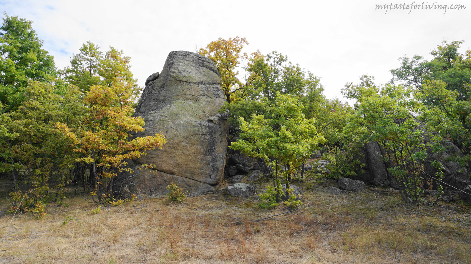 "Skumsale" locality is located 7 km from the town of Strelcha, towards the town of Koprivshtitsa, Bulgaria. It is characterized by a multitude of diverse rock formations used by ancient societies for rituals.