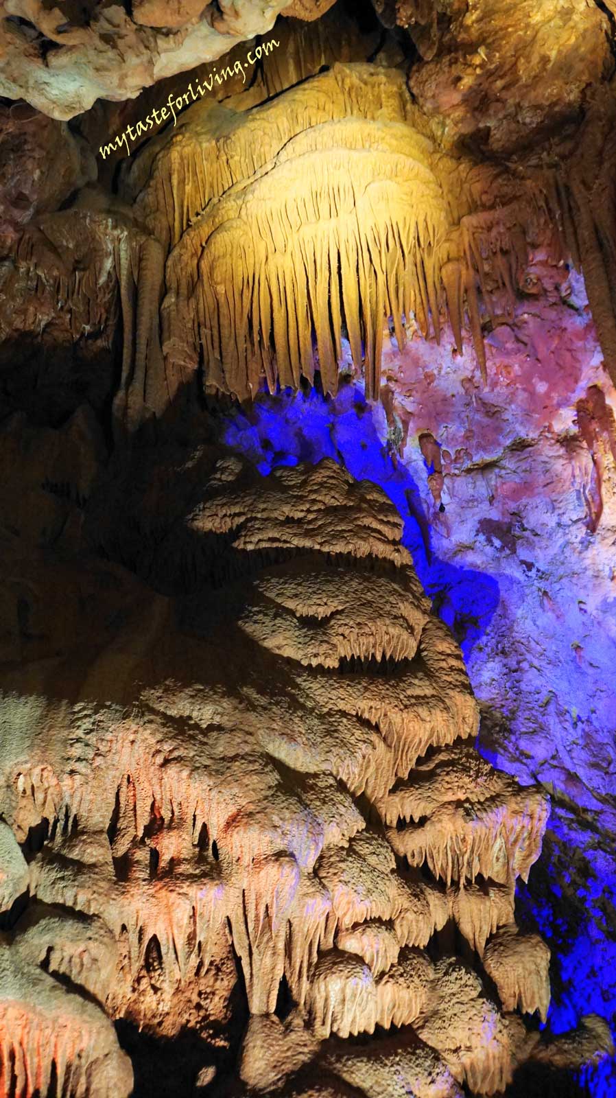 Пещера „Венеца“ е сред най-красивите пещери в България. Намира се в община Димово, област Видин, в близост до село Орешец и на около 15 км от град Белоградчик.