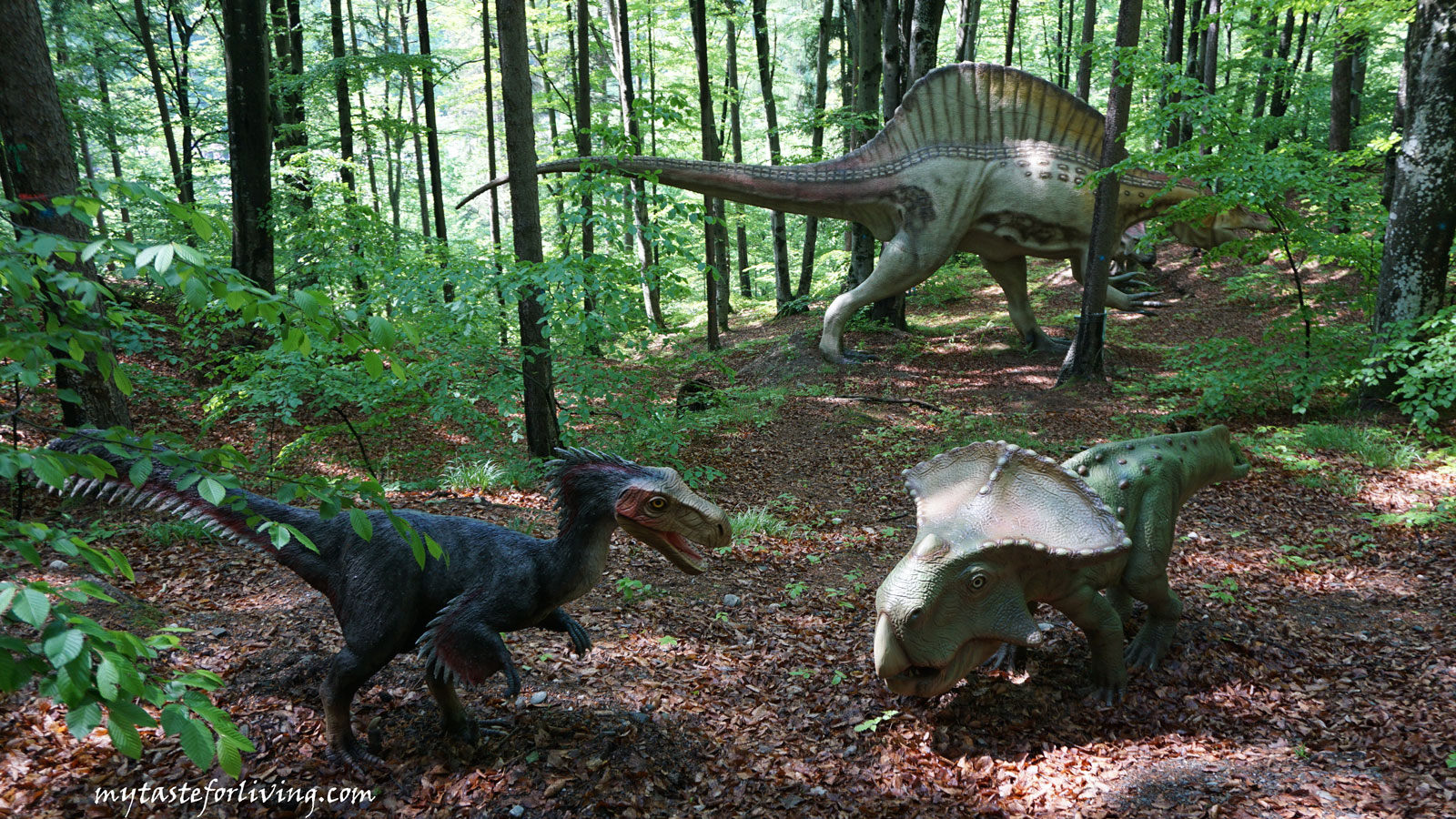 Dino Park in Rasnov, Romania is a recreation area with a museum part both indoors and outdoors, and is the largest park in southeastern Europe.