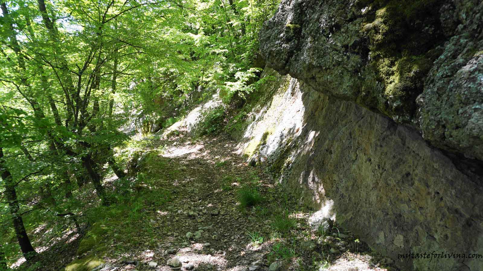 The thracian rock sanctuaries with mysterious trapezoidal rock niches carved in them are typical of the Eastern Rhodopes. The forests above the village of Nochevo are full of similar niches and small caves (like Kodja yin) and sharapani.