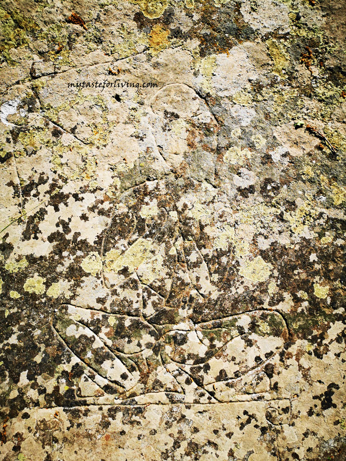 Тракийските скални светилища с издялани в тях мистериозни трапецовидни скални ниши са характерни за Източните Родопи. В горите над село Ночево е пълно с подобни ниши, малки пещери (като Коджа ин) и шарапани.